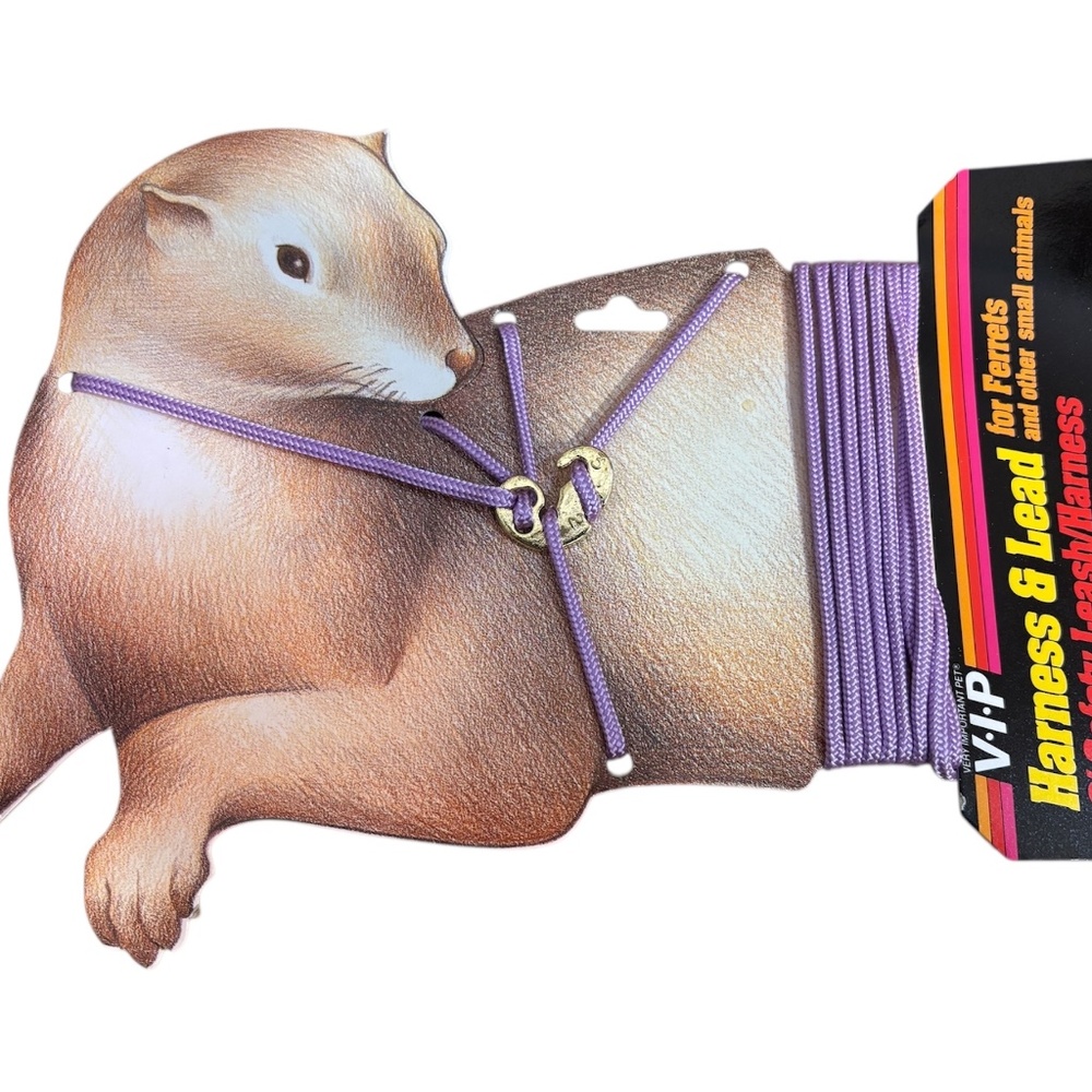 Ferret Sm Animal Nylon Lead w Harness 3/24"X6 feet Japanese Made Washable Purple